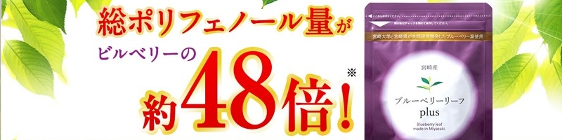 �u���[�x���[���[�tplus���T�C�g